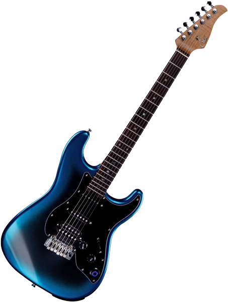 12-String Acoustic Guitar