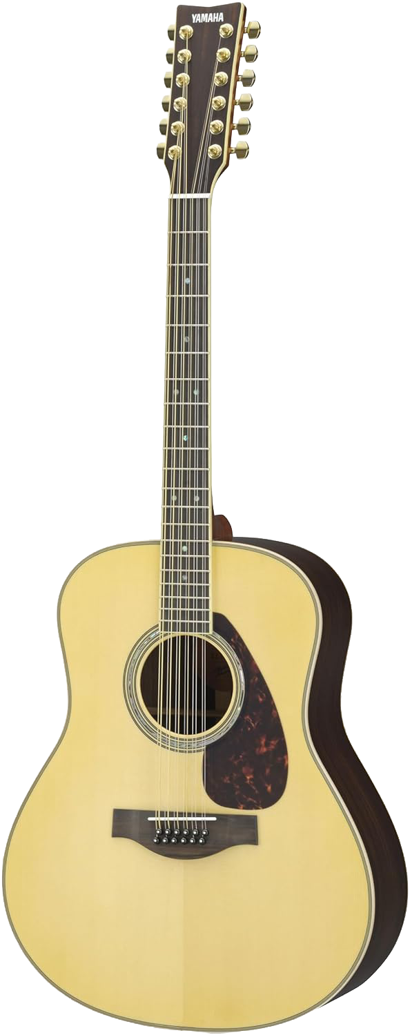 Electric Guitar